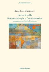Copertina di Lezioni sulla fenomenologia e l'ermeneutica